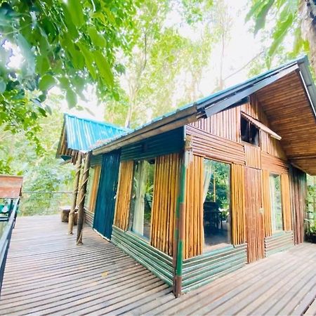 Khao Sok Tree House Resort Khao Sok National Park Exterior photo