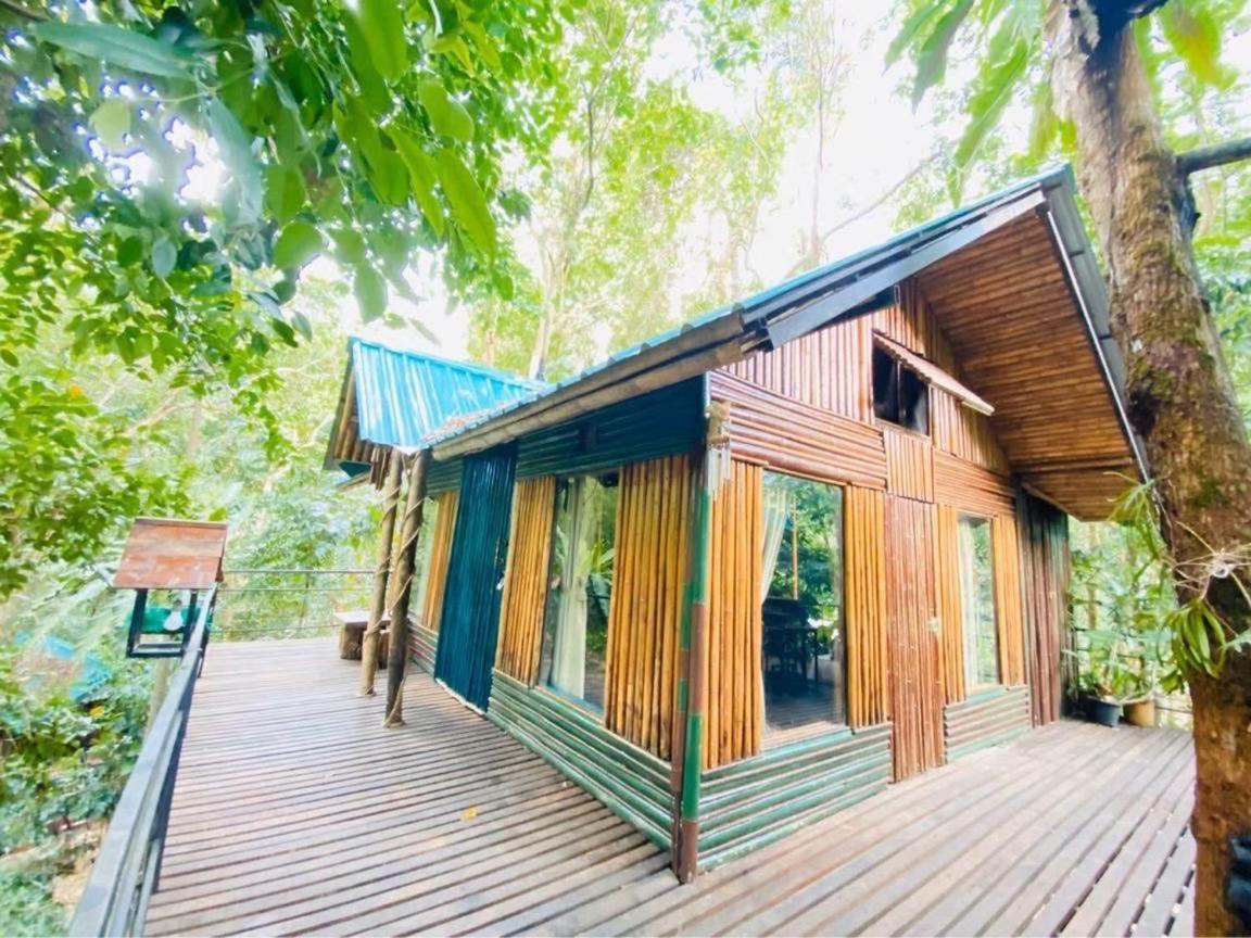 Khao Sok Tree House Resort Khao Sok National Park Exterior photo