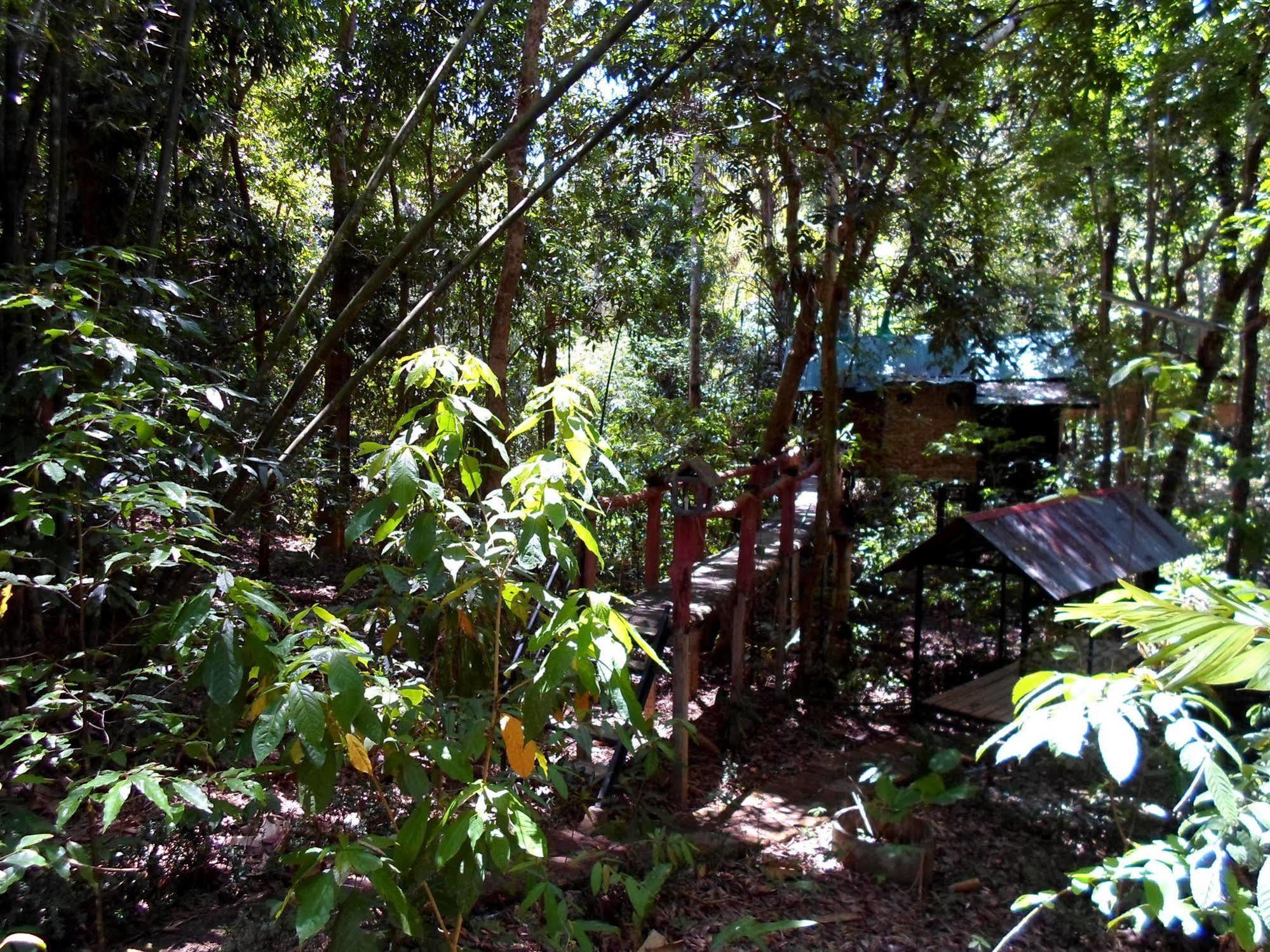 Khao Sok Tree House Resort Khao Sok National Park Exterior photo